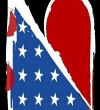 Good Causes: The American Widow Project